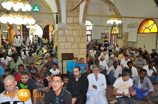 3eed 7san bek 808 (2).JPG